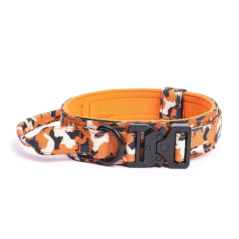 Heavy-Duty Training Collar