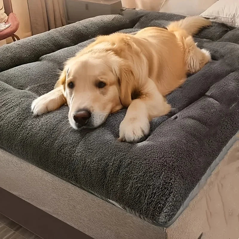 Golden retriever resting on the grey Trail-Rest Plush Dog Mat, showing its plush surface and raised edges