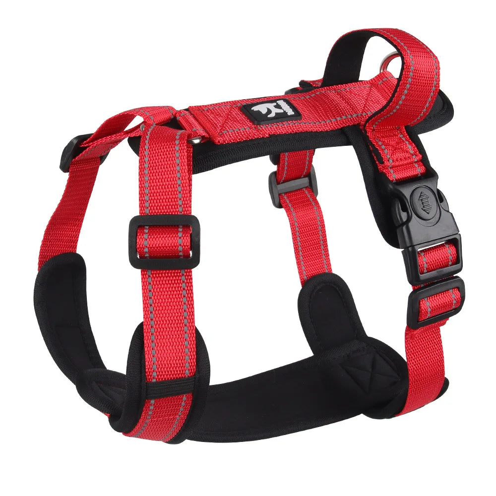 Red and black adjustable dog harness with reflective stitching for trail walks and all-weather adventures