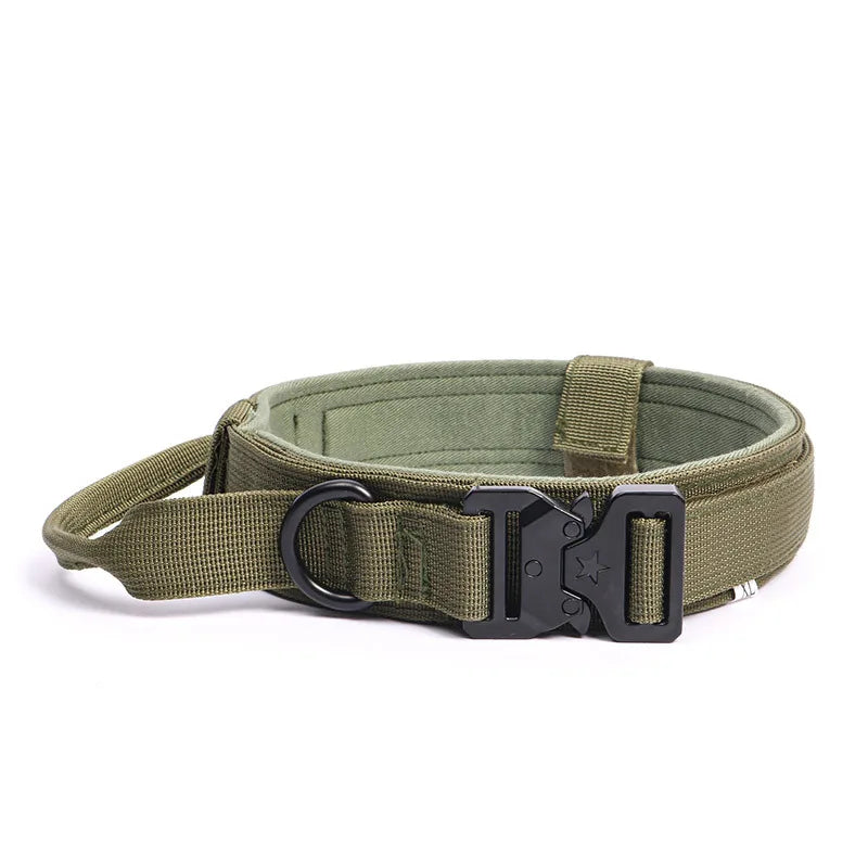 Heavy-Duty Training Collar